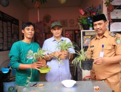 Bank Sampah 102 Manfaatkan Sabut Kelapa Jadi Kokedama Bernilai Jual
