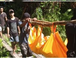 Usai Memberikan Bantuan Obat-obatan ke Rumah Sakit Prajurit TNI Dibunuh KKB