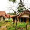 Kisah Misteri Kampung Mistis yang Menjadi Urban Legend di Indonesia