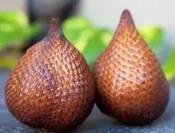 Inilah Manfaat Buah Salak asal Indonesia