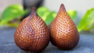 Inilah Manfaat Buah Salak asal Indonesia