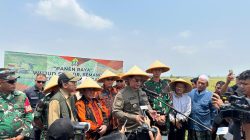 Dukung Program Pemerintah Pusat, MPW Pemuda Pancasila Banten Panen Raya Padi Bersama TNI dan Pemkot Serang