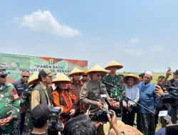 Dukung Program Pemerintah Pusat, MPW Pemuda Pancasila Banten Panen Raya Padi Bersama TNI dan Pemkot Serang