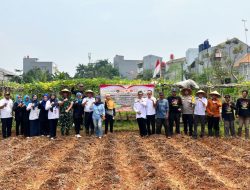 Tiga Pilar Jakarta Barat Tanam Jagung di Lahan Poktan Semanan Sinergi