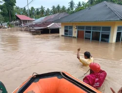 BNPB Memastikan Tidak Ada Jasad Tertimbun Banjir dan Tanah Longsor di Sumatra