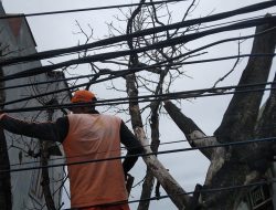 Aksi Cepat PPSU Kelurahan Duri Kosambi Tangani Pohon Patah di Jalan Pintu Air