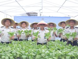 Panen Raya Serentak, Lapas Kelas I Tangerang Tegaskan Peran Pemasyarakatan Dukung Ketahanan Pangan