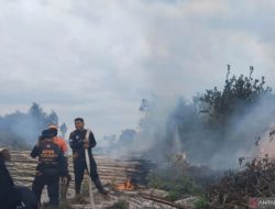 Meski Musim Hujan, BNPB Melaporkan Terjadi Kebakaran Hutan di Aceh, Riau dan Kalteng