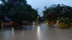 Kepala BNPB: Ribuan Rumah di Pemalang Terendam Banjir