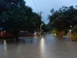 Kepala BNPB: Ribuan Rumah di Pemalang Terendam Banjir