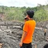 Kepala BNPB Sebut Petugas Gabungan Berhasil Padamkan Kebakaran Hutan di Kalimantan Barat