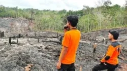 Kepala BNPB Sebut Petugas Gabungan Berhasil Padamkan Kebakaran Hutan di Kalimantan Barat