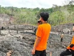 Kepala BNPB Sebut Petugas Gabungan Berhasil Padamkan Kebakaran Hutan di Kalimantan Barat