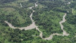 Kepala BNPB Ungkap 108 DAS Harus Diperbaiki untuk Cegah Terjadi Bencana