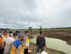 Penuhi Permintaan Bupati, Kepala BNPB Tinjau Tanggul Jebol di Grobogan 