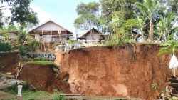 Kepala BNPB: Fenomena Tanah Bergerak Terjadi di Tegal Jawa Tengah