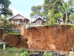 Kepala BNPB: Fenomena Tanah Bergerak Terjadi di Tegal Jawa Tengah