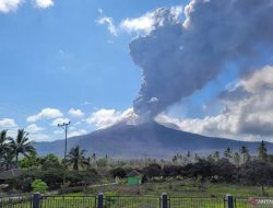 Kepala BNPB Sebut Pengungsi Erupsi Lewotobi Tempati Huntara 