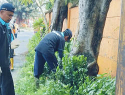 Petugas Kebersihan Babat Rumput Liar di Area Terminal Kalideres