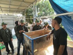 KKM Kelompok 56 Universitas Primagraha Kunjungi Budidaya Jamur Tiram sebagai Potensi Ekonomi Lokal