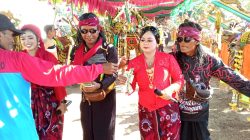Lebih dari 1.000 Warga Giliraja Antusias Saksikan Kerapan Sapi Betina