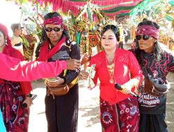 Lebih dari 1.000 Warga Giliraja Antusias Saksikan Kerapan Sapi Betina