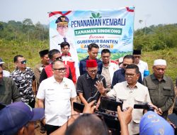 Gubernur Andra Soni dan Arif Rahman Hadir Panen Raya Singkong: Hasil Bumi Petani Kekayaan Banten
