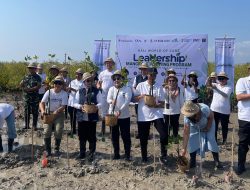 Dari Penanaman ke Investasi, Bali Bawa Mangrove ke Tingkat Baru