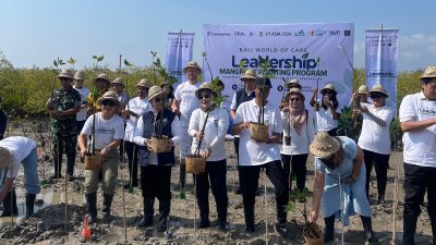 Dari Penanaman ke Investasi, Bali Bawa Mangrove ke Tingkat Baru
