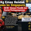 11,31 Kg Emas Hendak Dibawa ke Singapura, BCW Minta Telusuri Siapa Pemiliknya